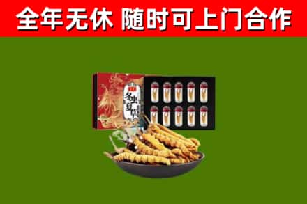 原阳烟酒回收冬虫夏草礼盒.jpg