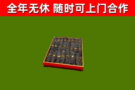 原阳回收海参
